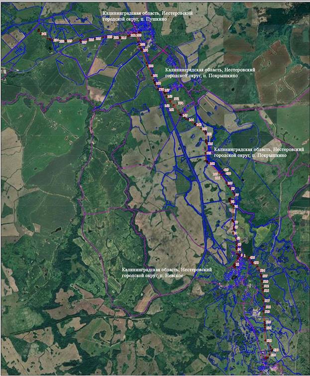 Постановление Правительства Калининградской области от 01.03.2023 N 76 "Об установлении публичного сервитута в целях размещения линейного объекта регионального значения "Газопровод межпоселковый п. Илюшино – п. Пушкино – п. Покрышкино – п. Невское – п. Вознесенское Нестеровского городского округа"