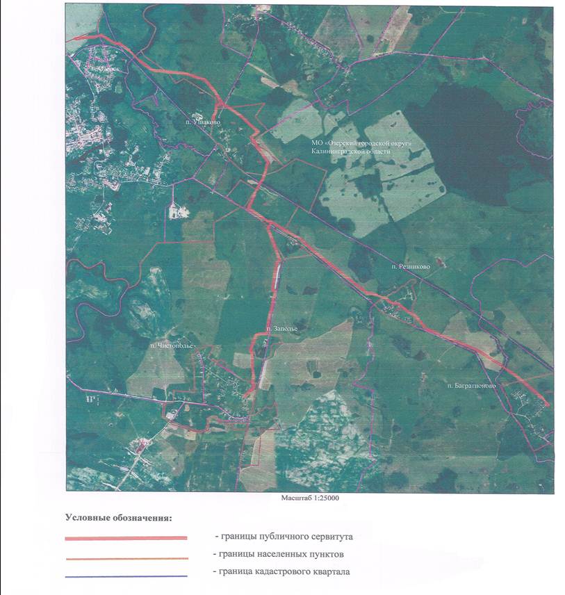 Постановление Правительства Калининградской области от 04.04.2023 N 161 "Об установлении публичного сервитута в целях размещения линейного объекта регионального значения "Газопровод межпоселковый высокого давления г. Озерск – п. Ушаково – п. Чистополье до п. Багратионово Озерского городского округа"