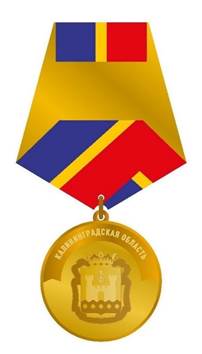 Указ Губернатора Калининградской области от 01.12.2025 N 107-у "О медали Губернатора Калининградской области "За содействие специальной военной операции"